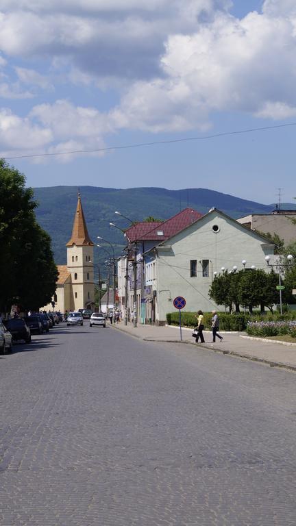 Villa Svalyavа Свалява Екстериор снимка