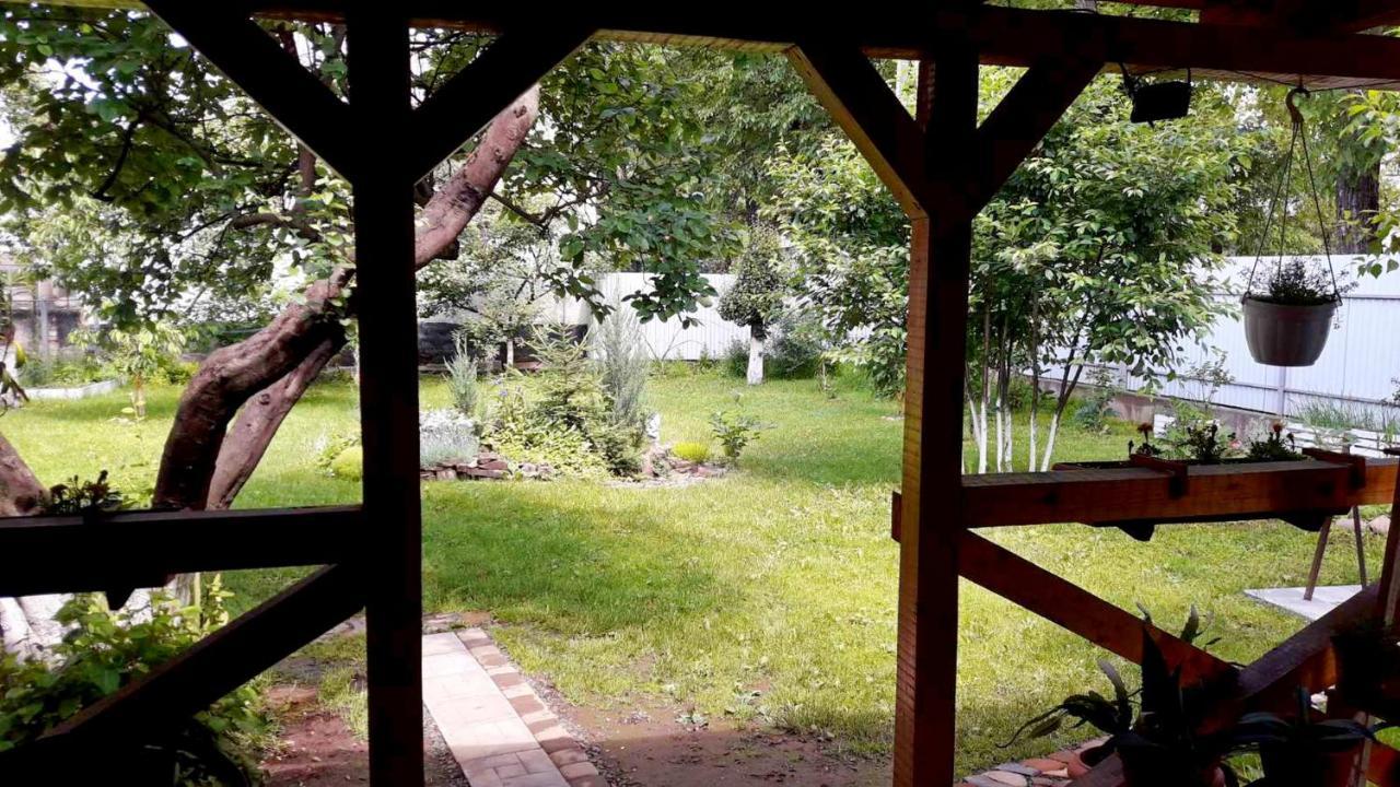 Villa Svalyavа Свалява Екстериор снимка